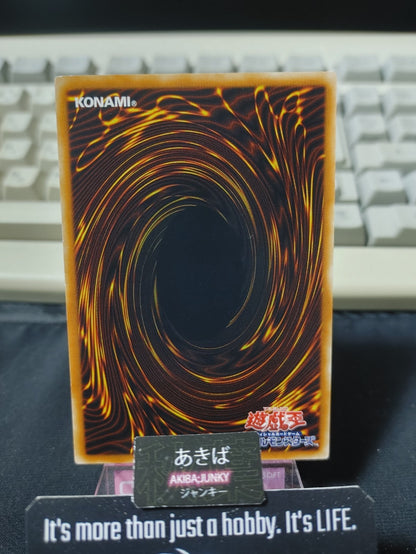 47431904