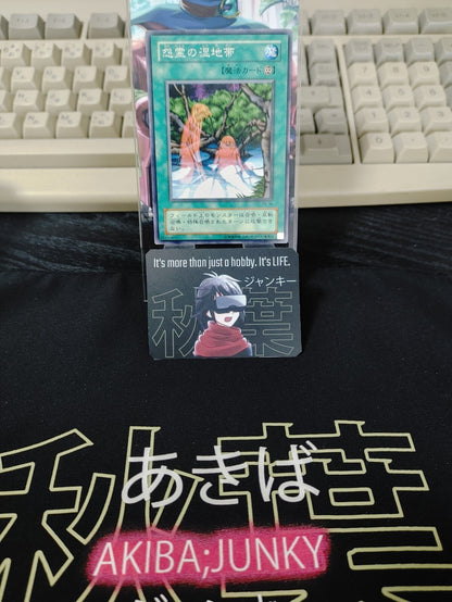 47431397
