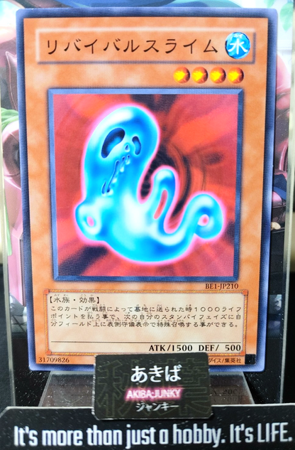47425540