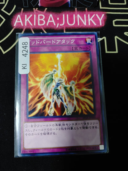 Icarus Attack Yugioh SPTR-JP060 Yu-Gi-Oh Konami OCG JAPAN