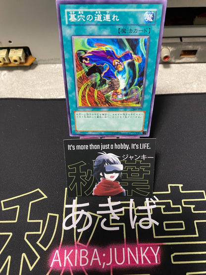 47430534