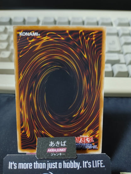 Gravekeeper's Descendant Yugioh ABPF-JP028 Rare Yu-Gi-Oh Konami OCG JAPAN