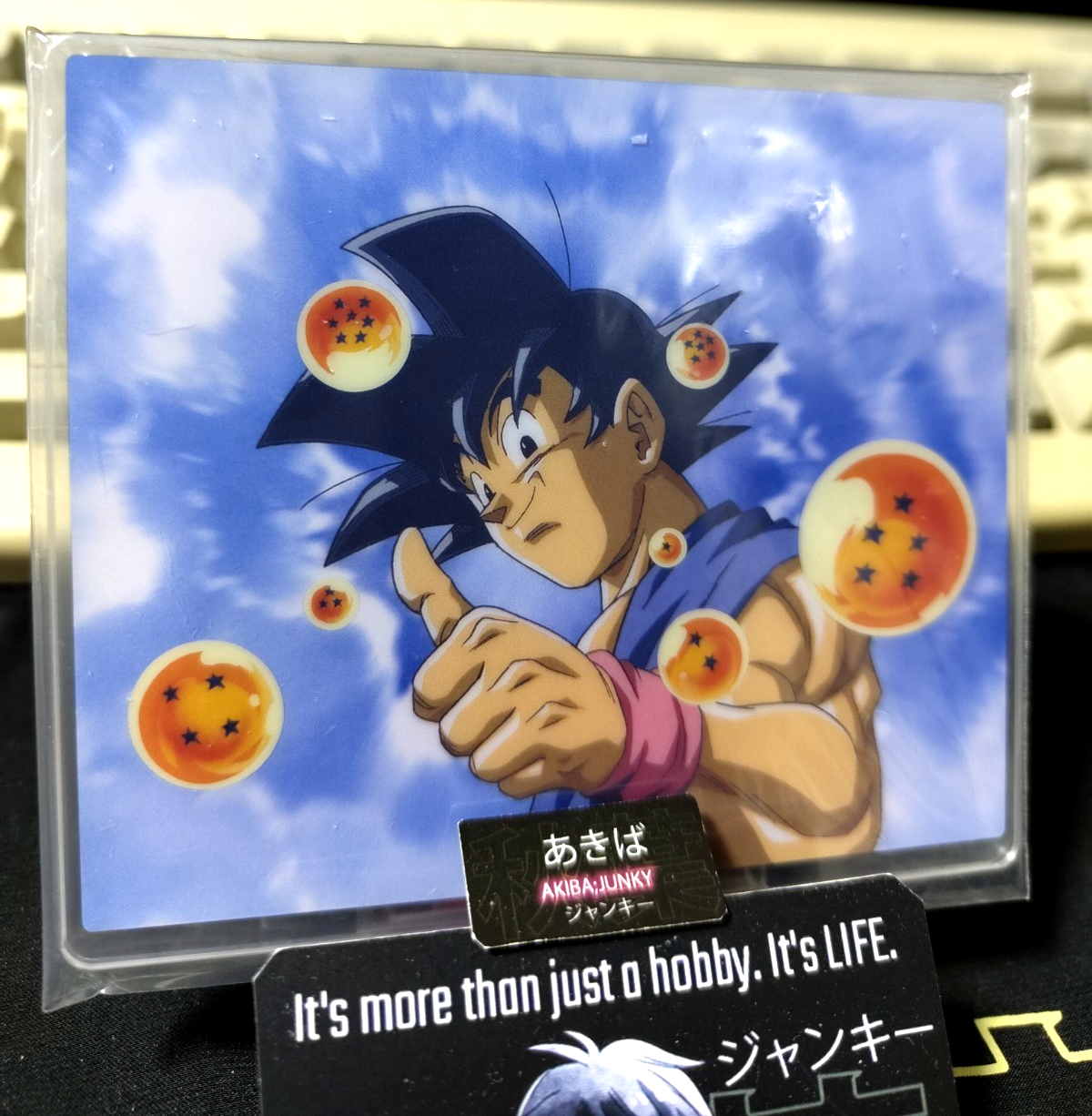Dragon Ball Anime Acrylic Display Goku GT Dragonballs E JAPAN