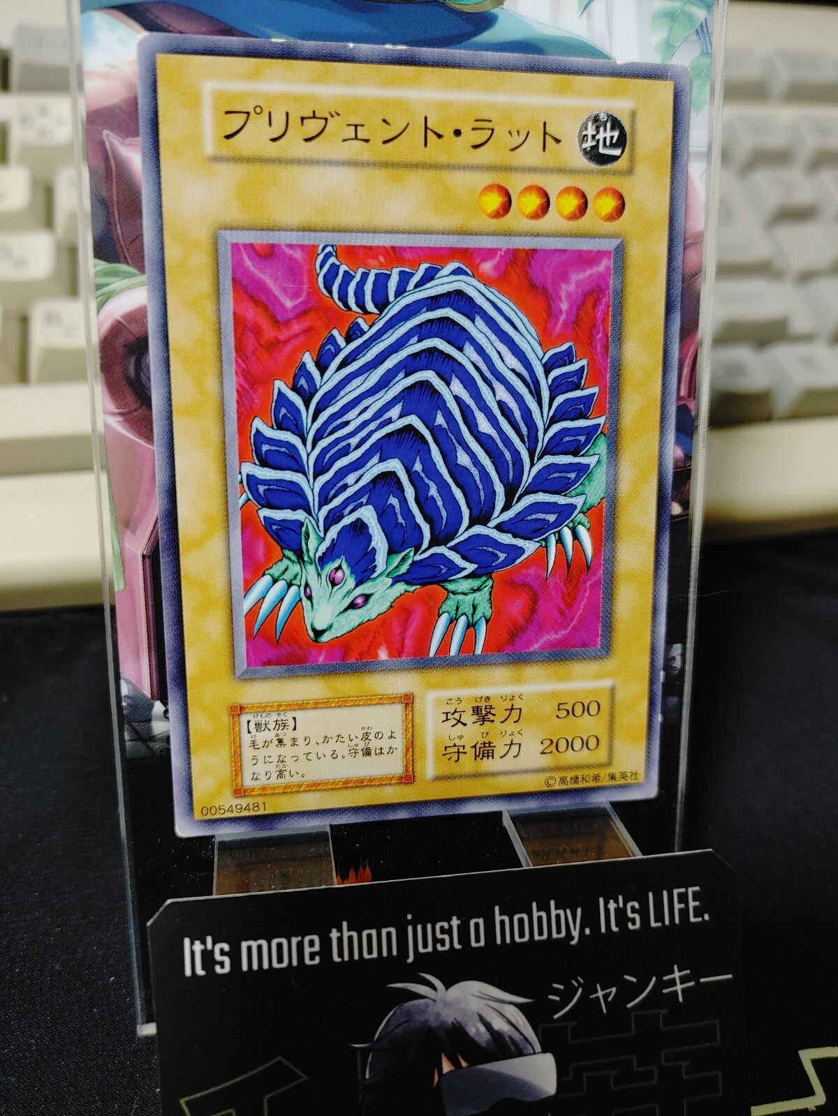 47423247