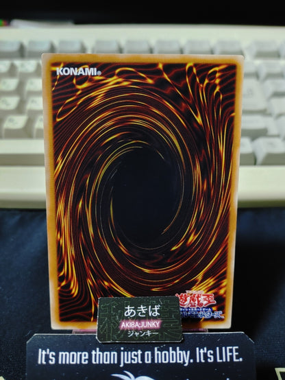 Champion's Vigilance Yugioh SD25-JP039 Konami OCG JAPAN