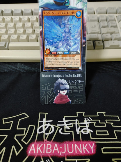 47431253