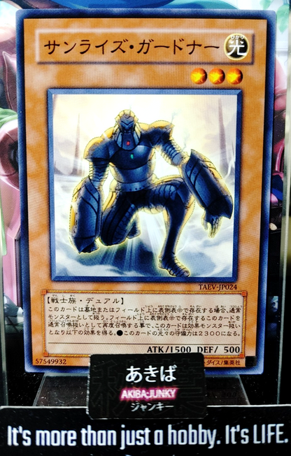 47425539