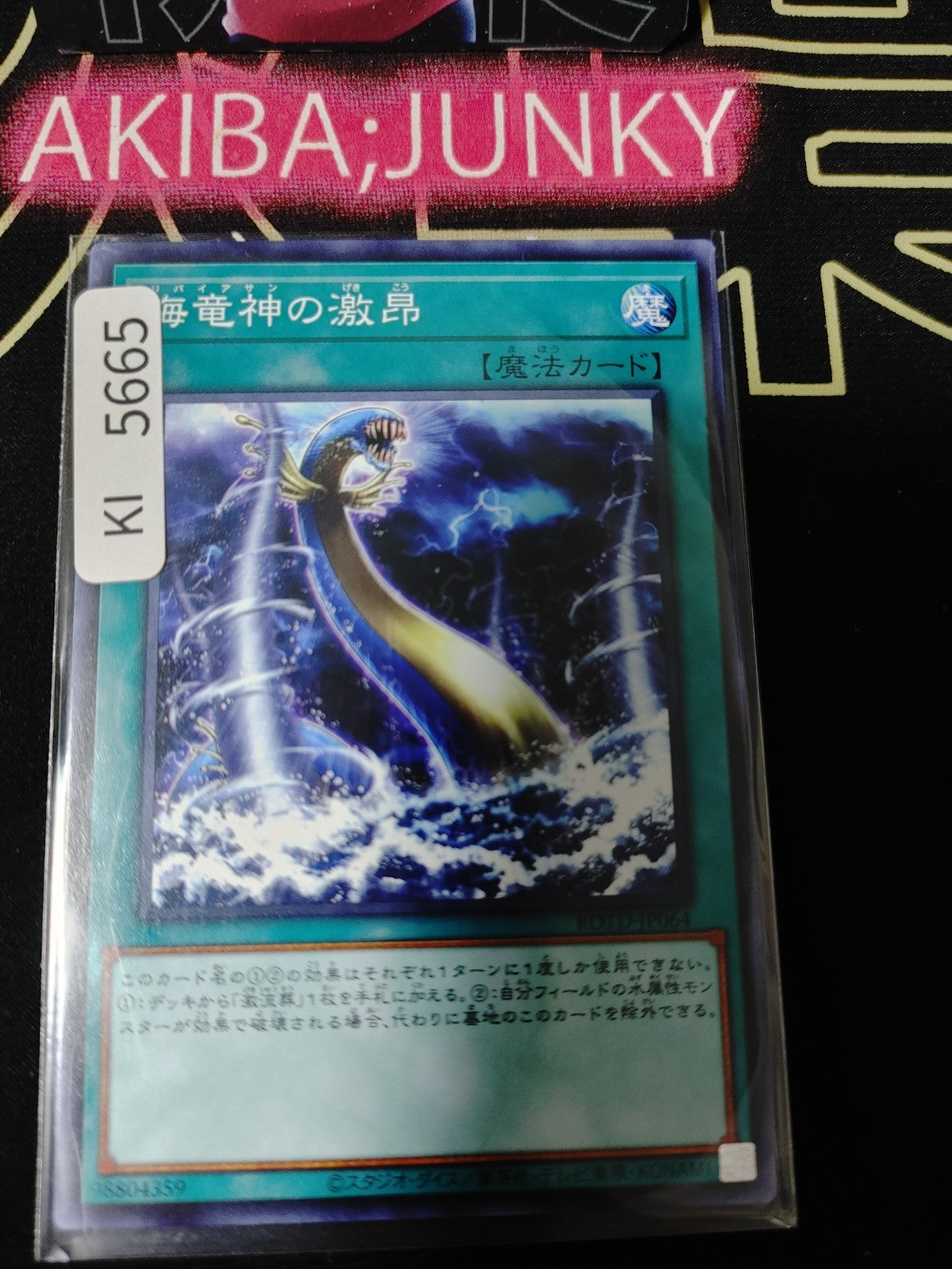 Fury of Kairyu-Shin Yugioh ROTD-JP064 Konami OCG JAPAN