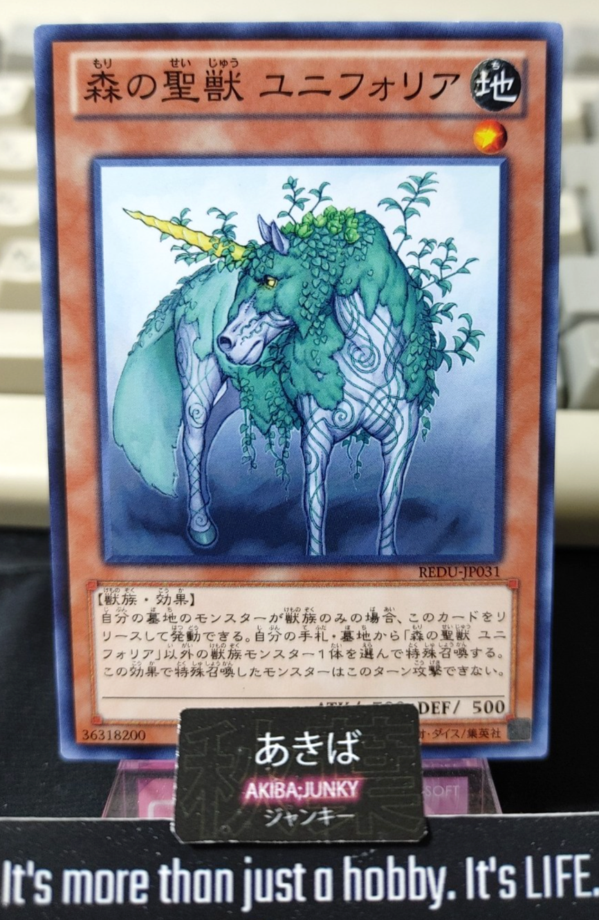 47425616