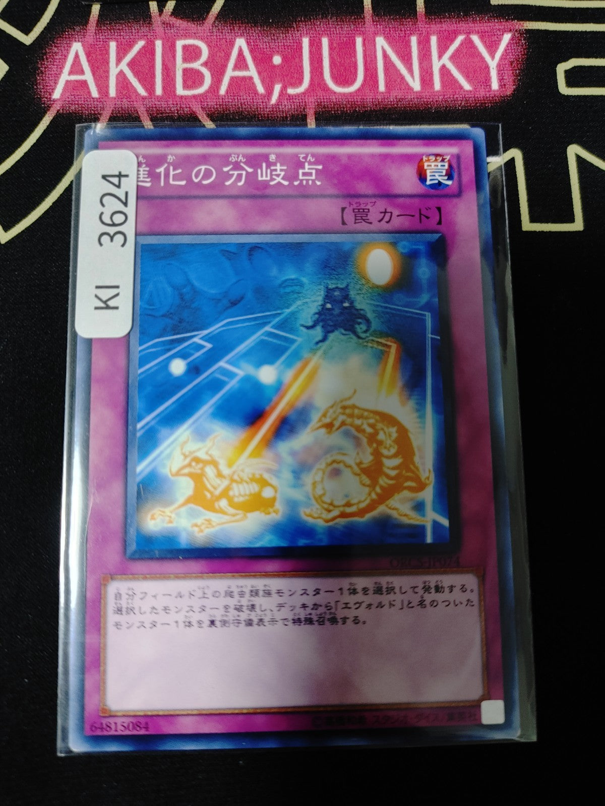 47433620