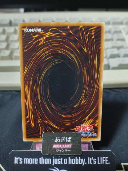 47430647
