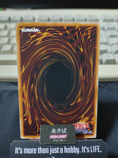 47450067