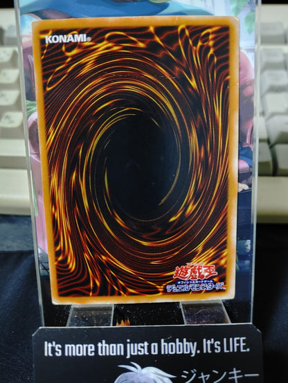 47431987