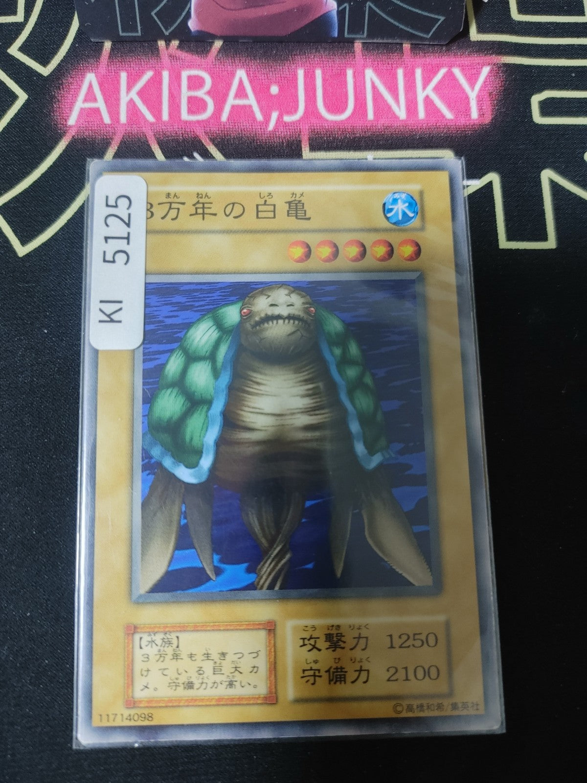 30,000-Year White Turtle Yugioh Yu-Gi-Oh Konami OCG JAPAN