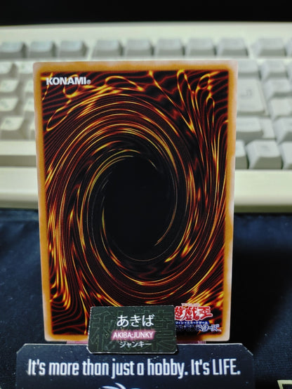 Dinomorphia Intact Yugioh CYAC-JP076 Yu-Gi-Oh Konami OCG JAPAN
