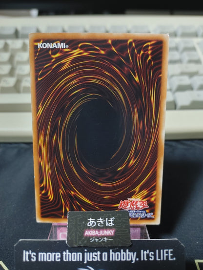 47431007
