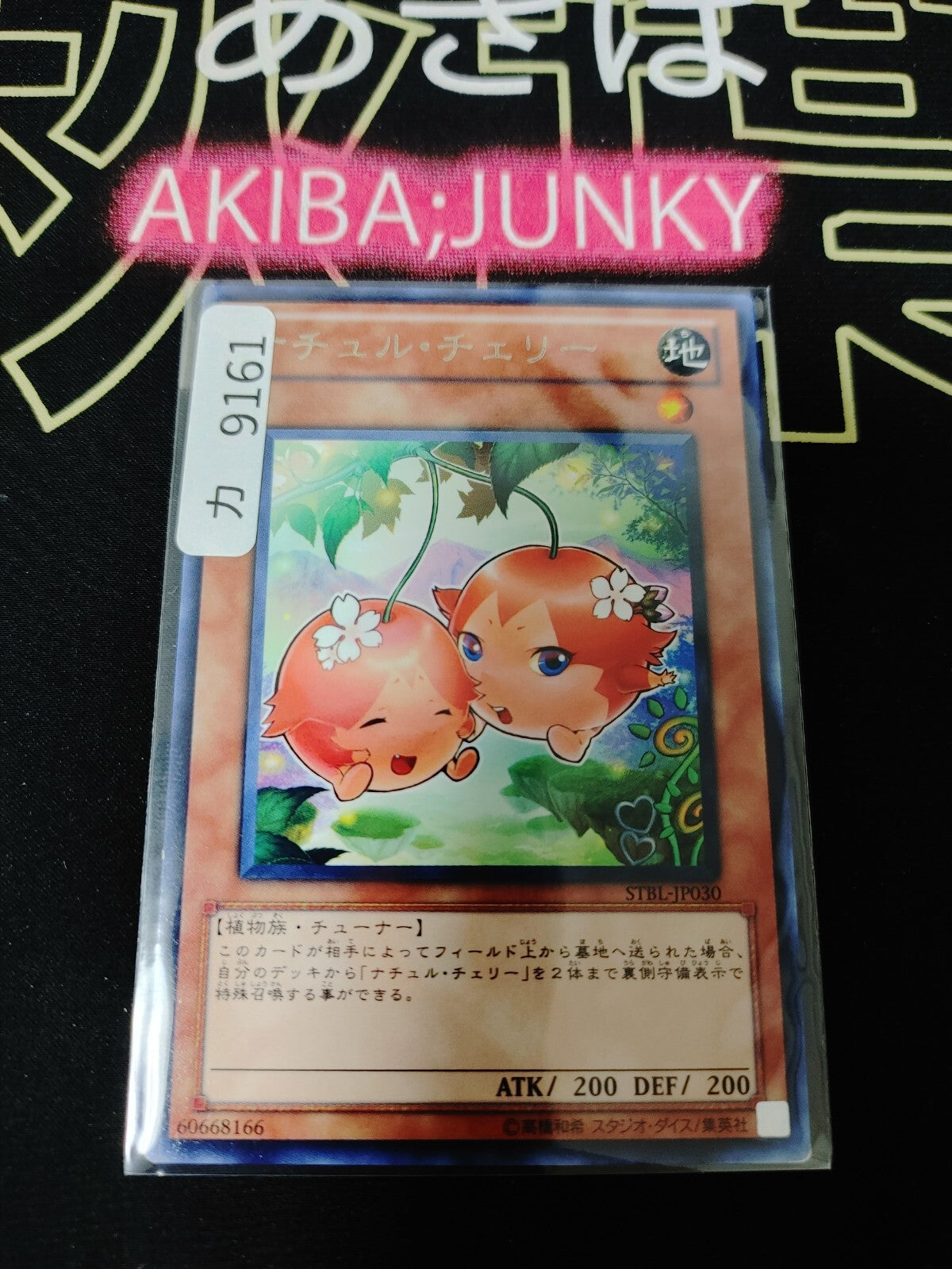 47429053