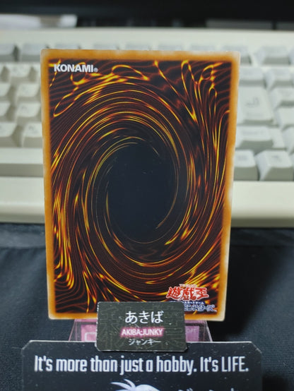 47432020