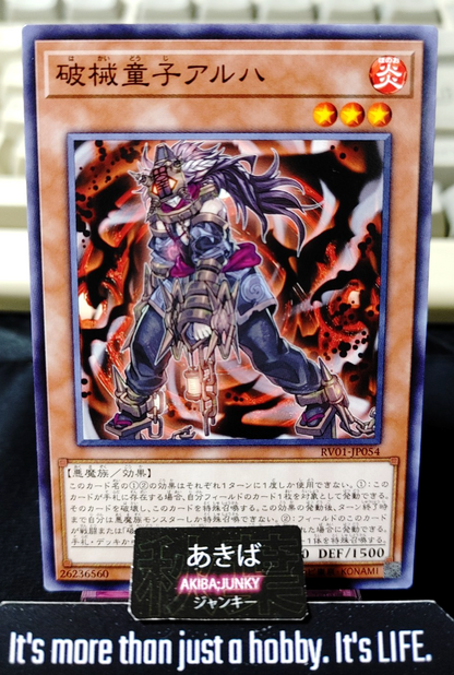 47450063