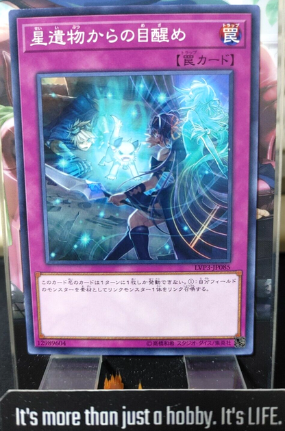47431527