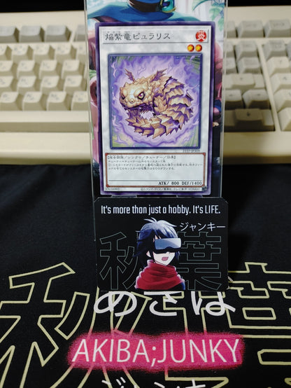 47431648