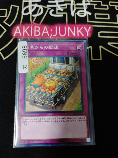 47424755