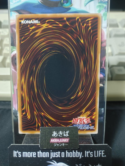 47423006