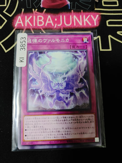 47440240