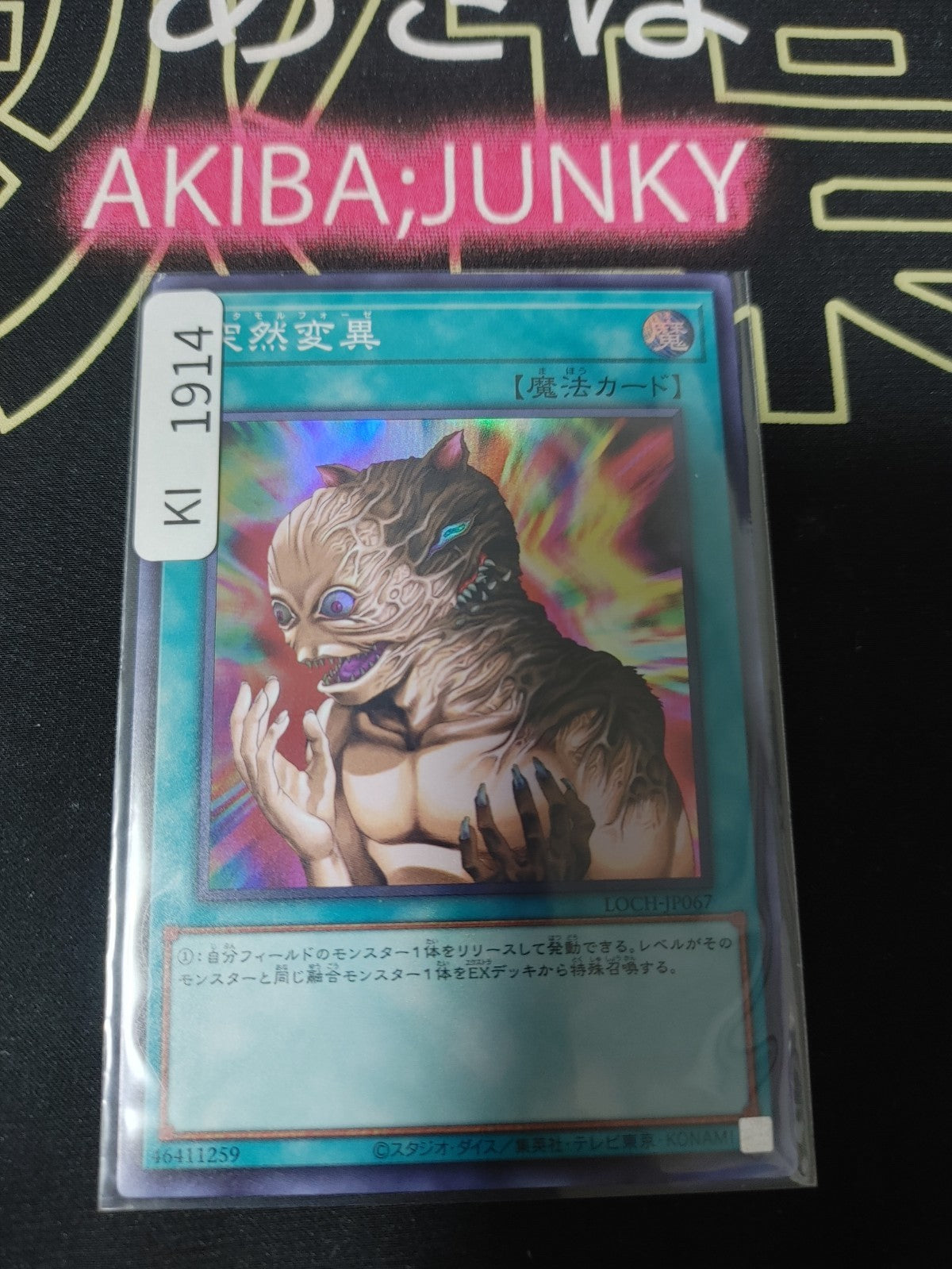 47423421
