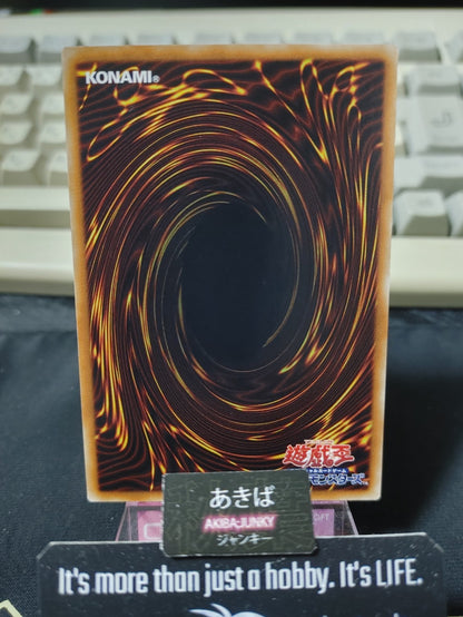 47434303