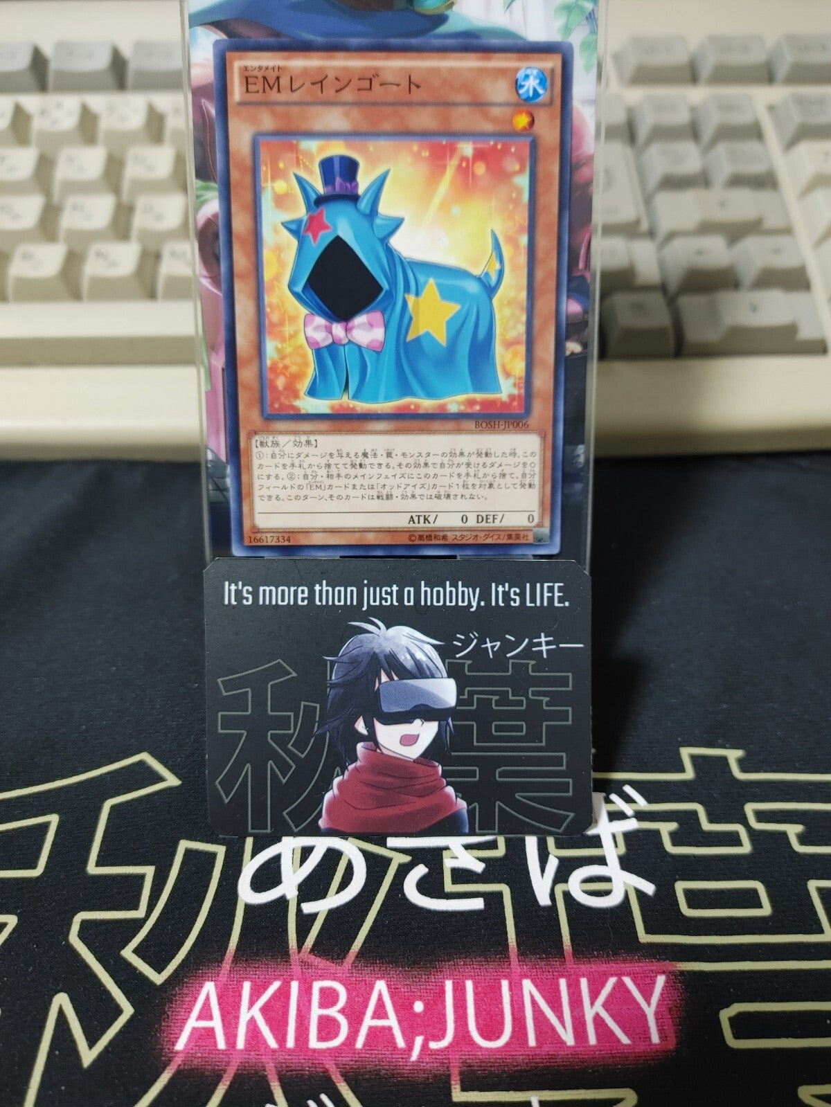 47429554