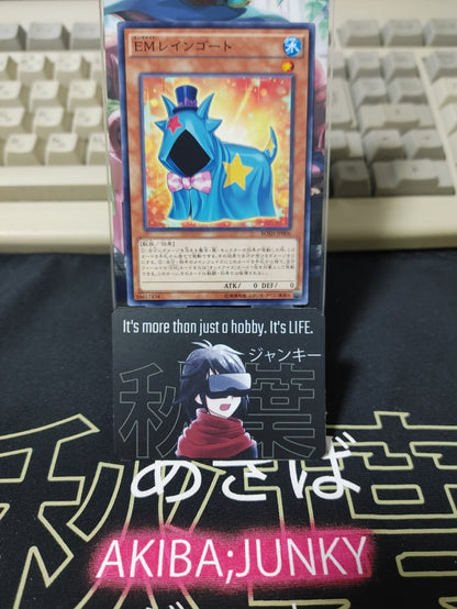 47429554