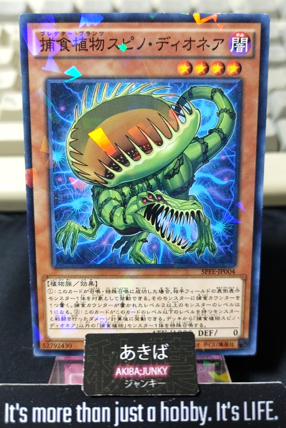 47431006
