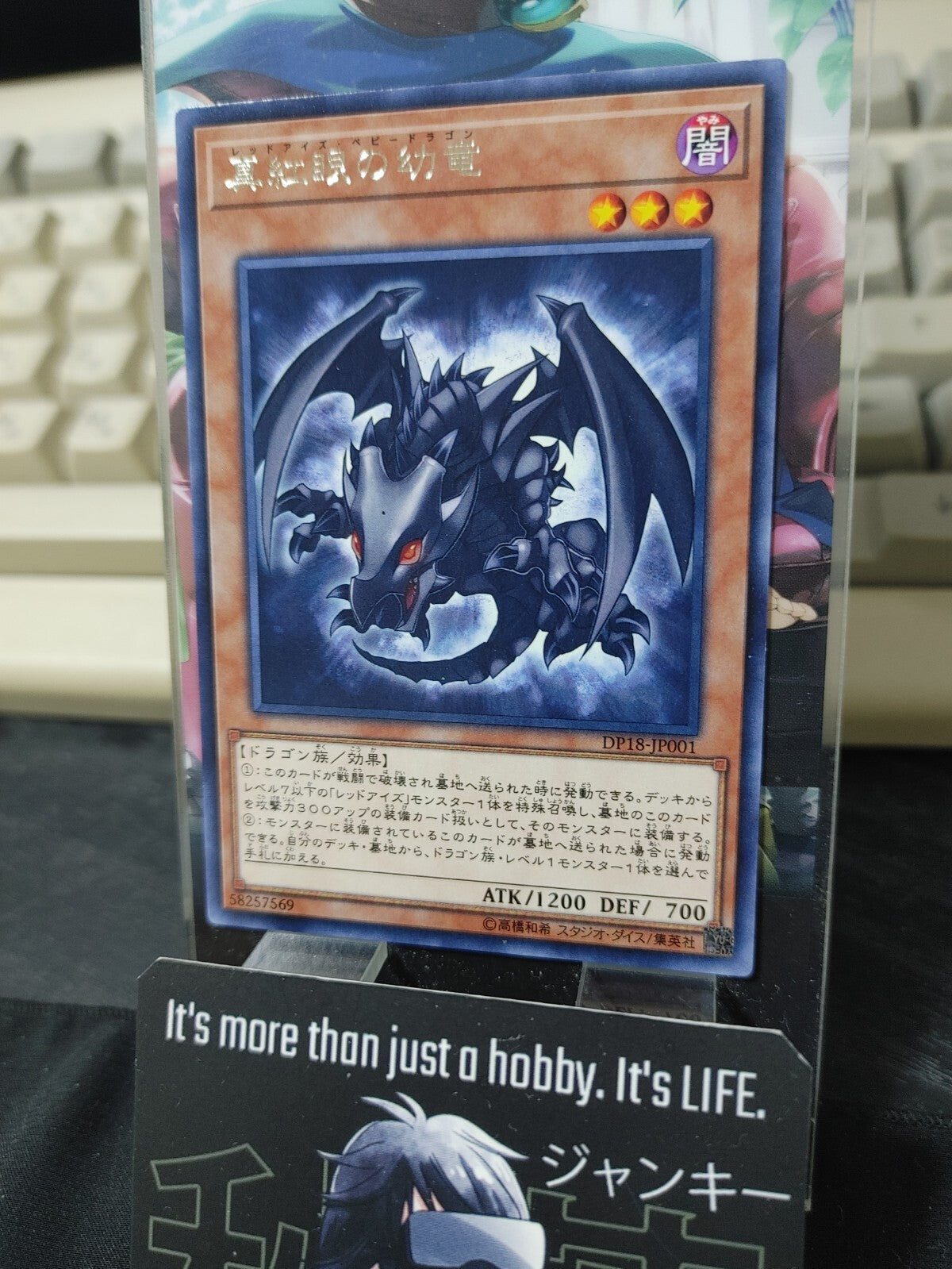 47425002