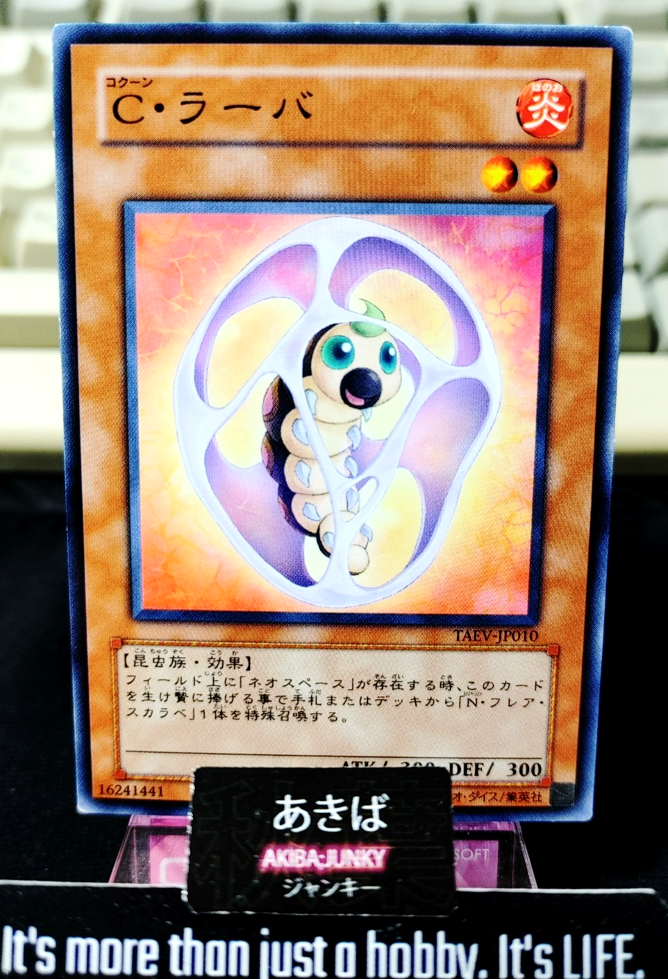 47428557