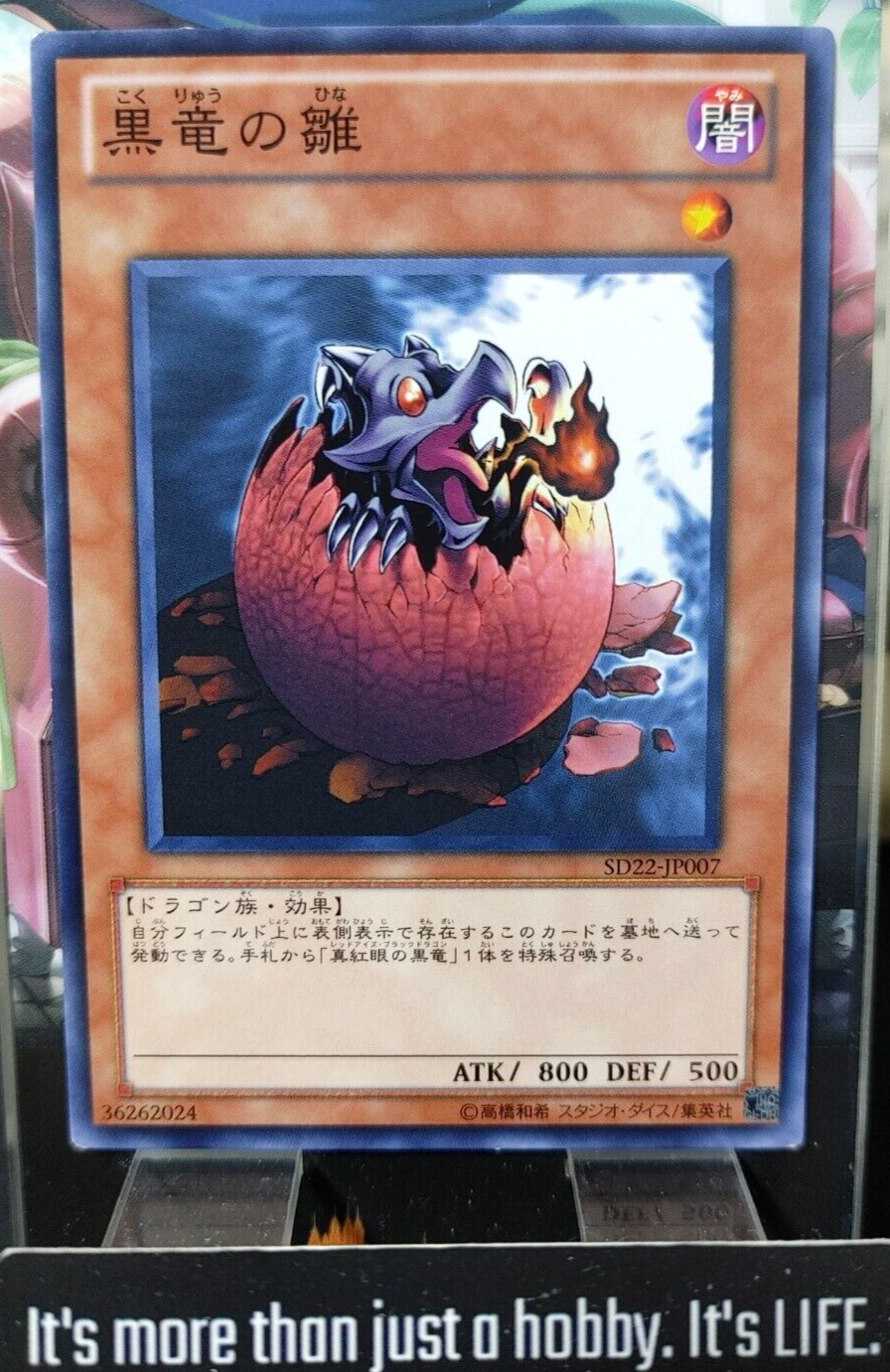47437209