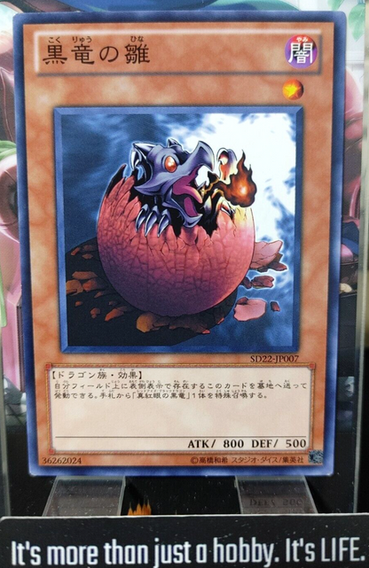 47437209