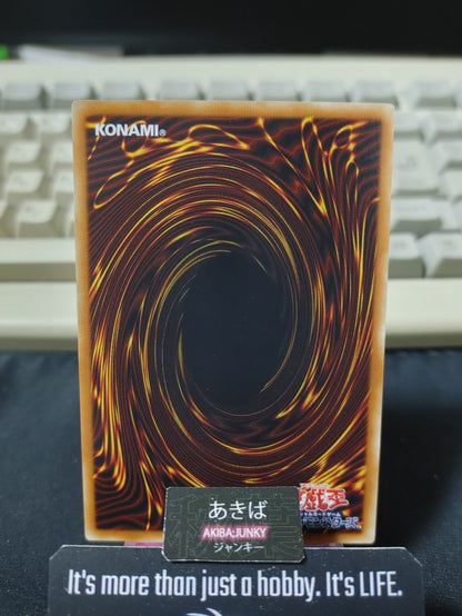 Black Rose Dragon Yugioh DP21-JP028 Yu-Gi-Oh Konami OCG JAPAN