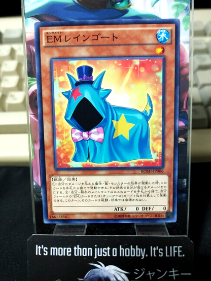 47429554