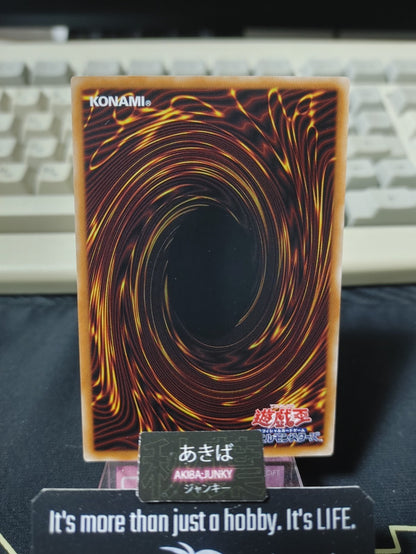47430645