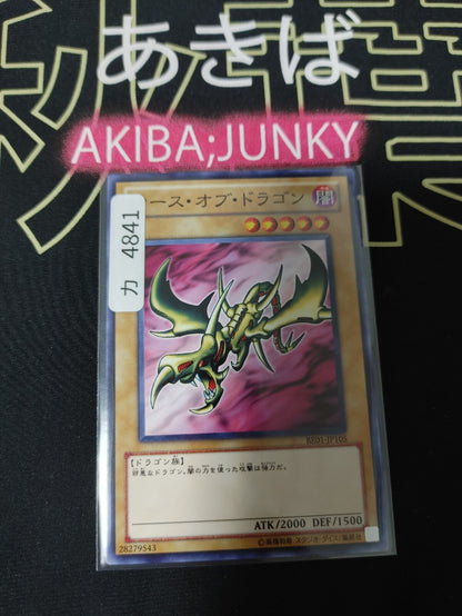 47428204