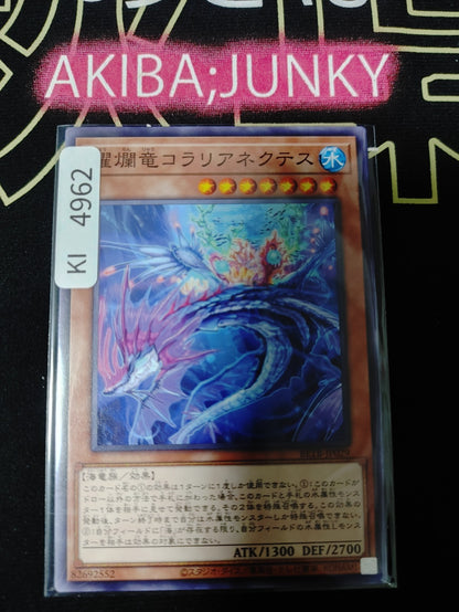 Coralianektes the Shimmering Shining Dragon Yugioh BETB-JP029 Konami OCG JAPAN