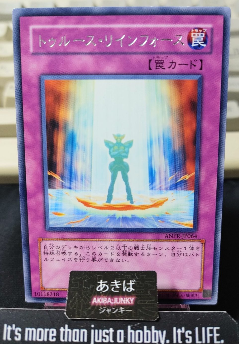 Reinforce Truth Yugioh ANPR-JP064 Rare Konami OCG JAPAN