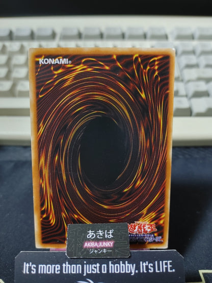 Riryoku Field Yugioh PE-54 Konami OCG JAPAN