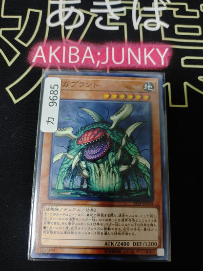 47424234