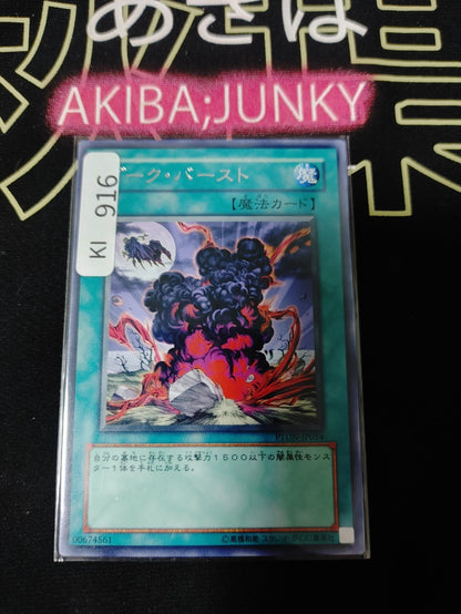 47430461