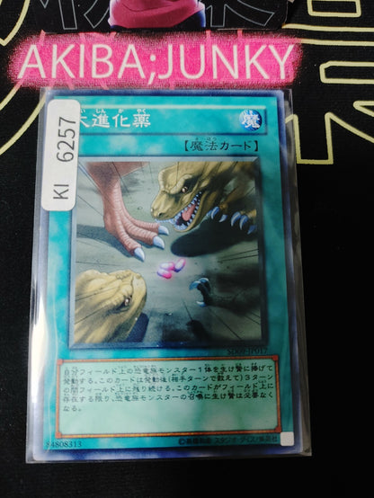 Big Evolution Pill Yugioh SD09-JP017 Konami OCG JAPAN