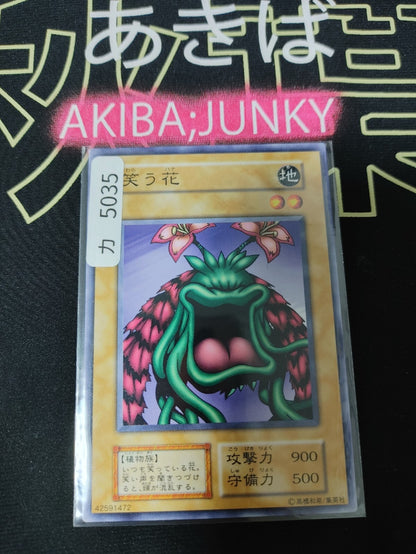 47431338