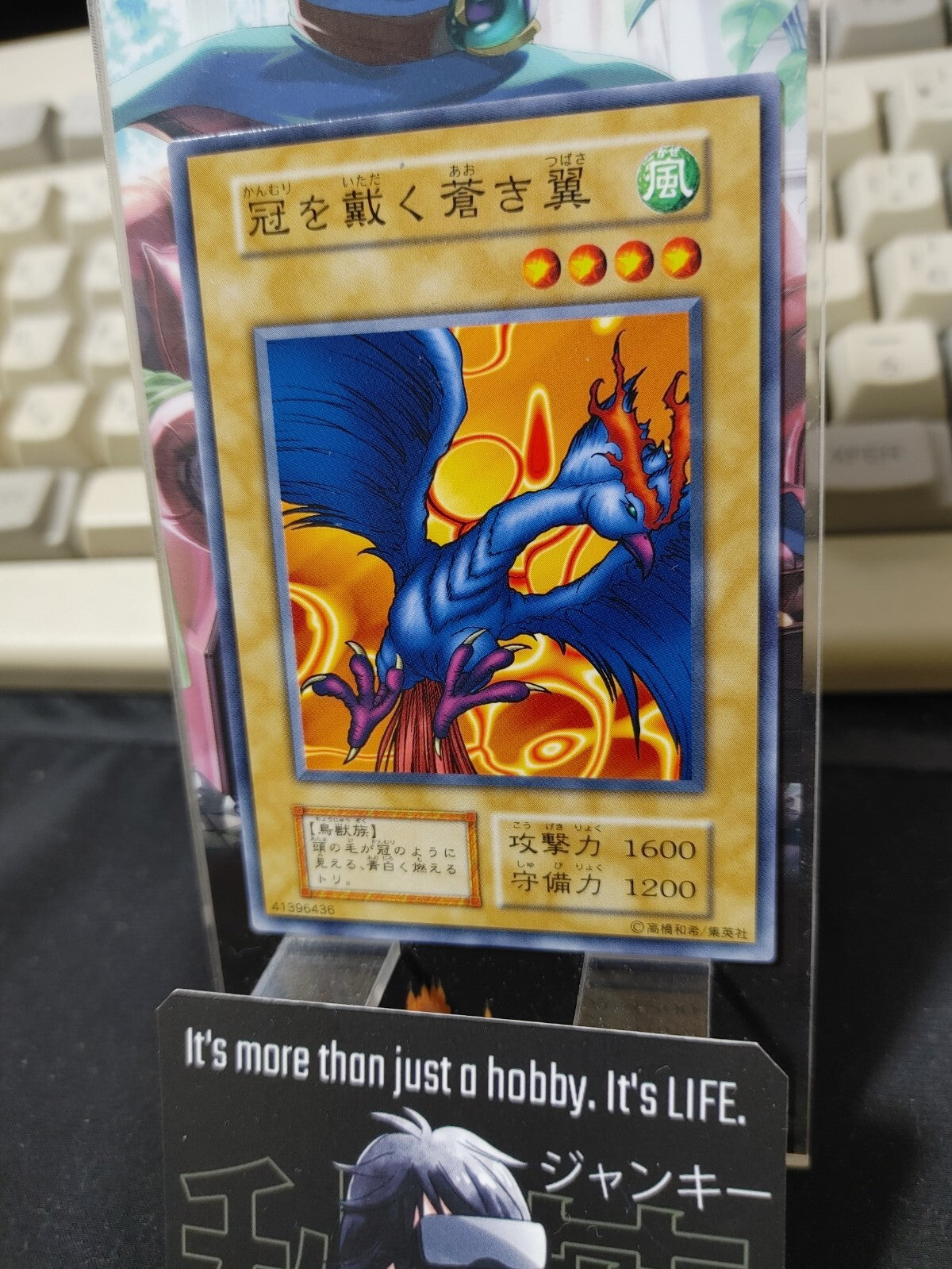 47431243