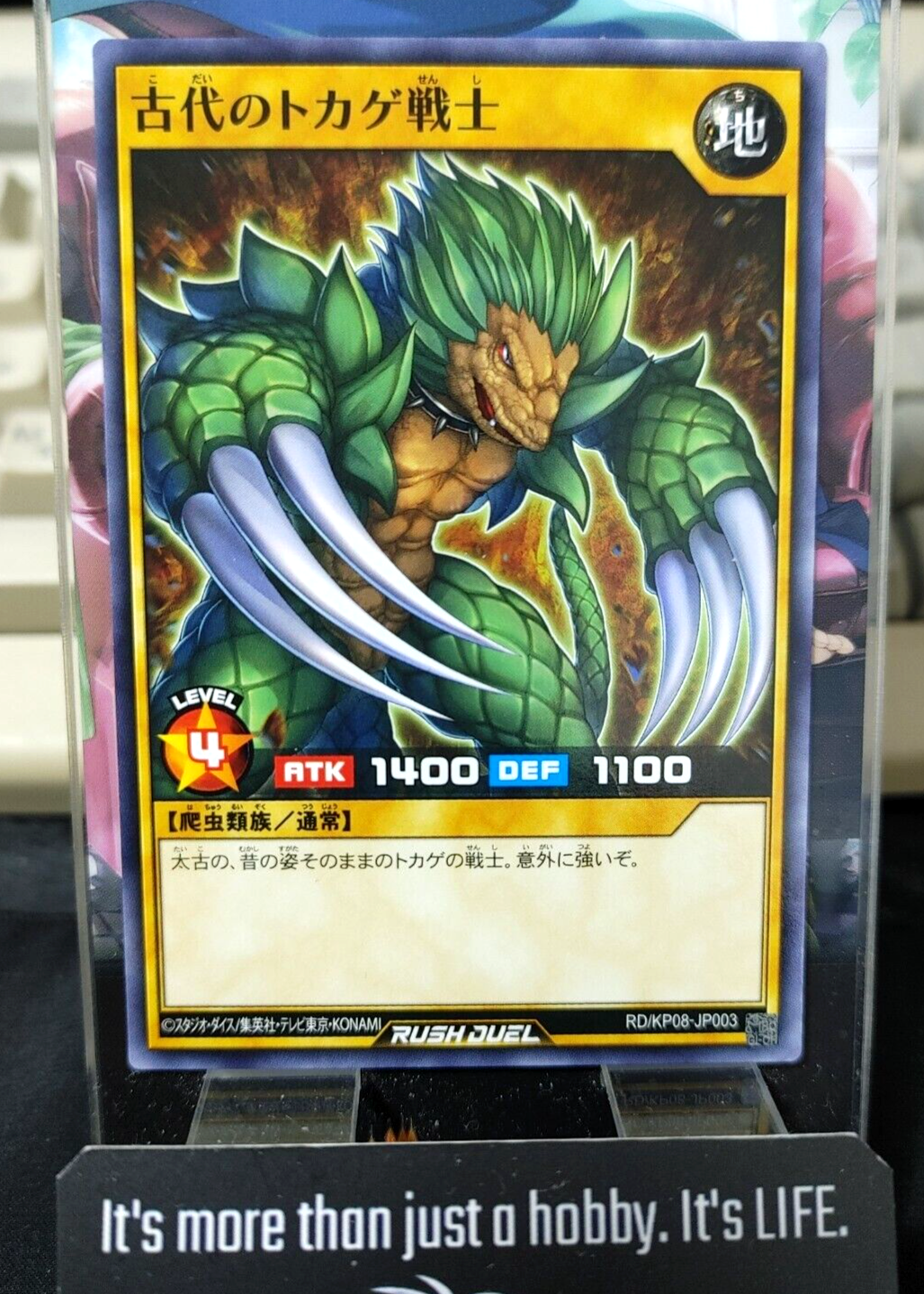 47436608